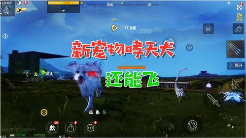 妄想山海宠物时装怎么获得