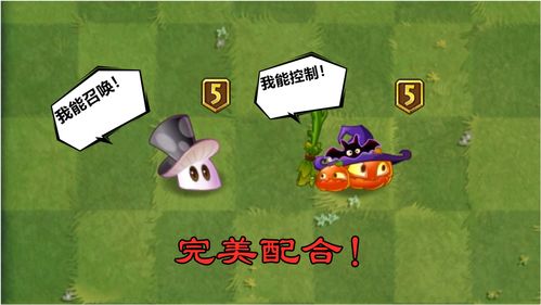 创造与魔法邪恶南瓜怎么获得