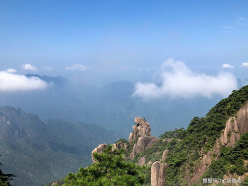 小鸡宝宝考考你,旅游名山五指山位于我国哪个省 海南 福建