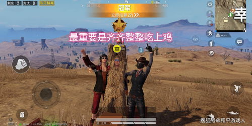 《和平精英》段位排行是什么 段位排行一览