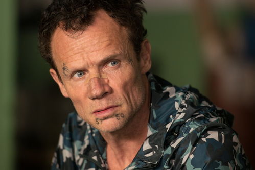 xx是一位魁梧女子梗意思介绍