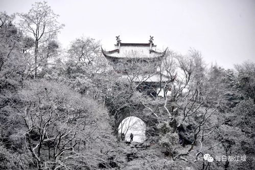 忘雪第三关怎么过