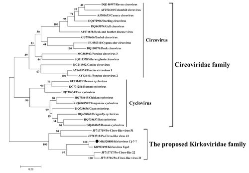 《原神》蓄水阶池解密怎么完成 7处蓄水阶池解秘流程一览