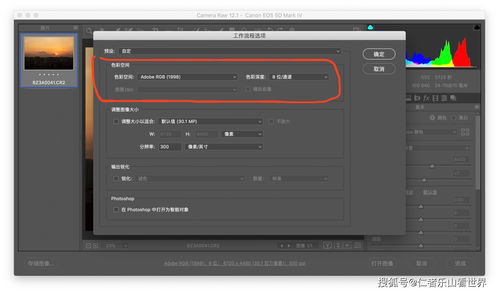 《错误游戏 Re:set》新角色介绍影像公布