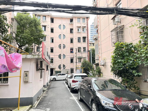 《解忧小村落》怎么赚铜币 铜币获取方法分享