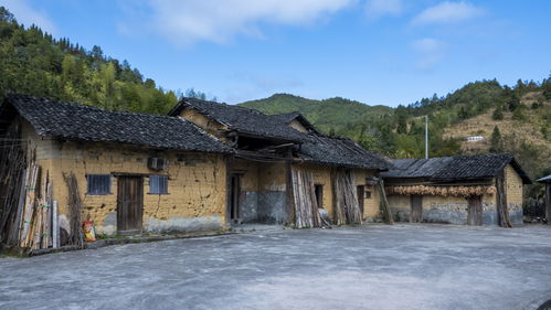 《解忧小村落》村民职业有哪些 全居民职业要求一览