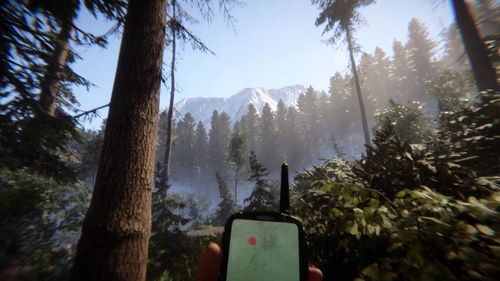 森林之子房顶建法攻略