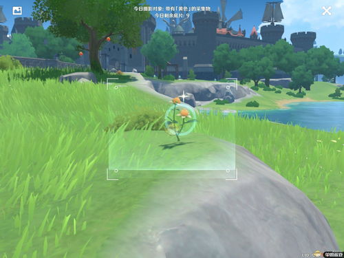 原神风物留影第一阶段拍照攻略