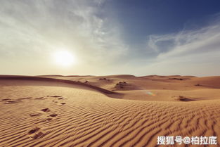 《无尽旅图》沙漠绿洲怎么通关 沙漠绿洲通关攻略