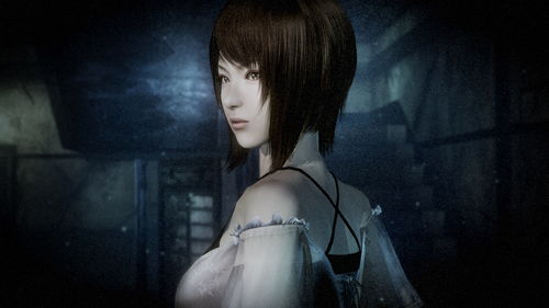 《零：月蚀的假面》Steam特别好评 但出现音频错误问题