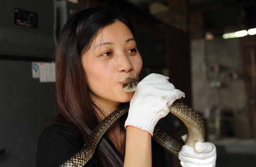 看你怎么秀美女与蛇通关攻略