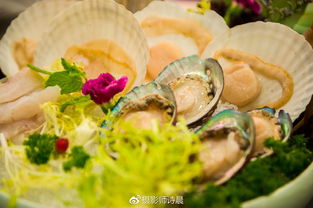 文字脑洞为泰叔制作十道京海美食攻略图文
