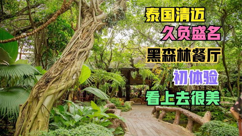 植树节冒险即将开启!快坐上前往森林的列车吧