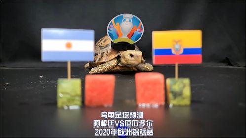 《地铁跑酷》减速乌龟有什么作用 道具赛减速乌龟作用介绍