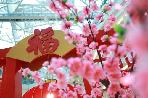 转运风车饰件免费送!《天下3》邀你共度浪漫花朝节~