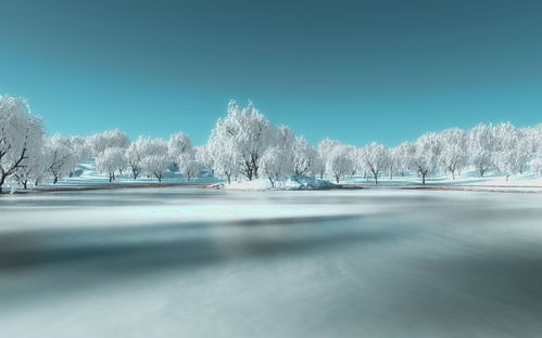 题目:在游戏中的哪个地图能看到冰天雪地的美景? A、空岛 B、铁桶岛 C、长链岛 D、司法岛