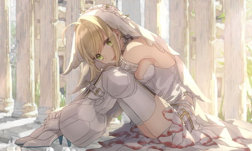 《FGO》金色大都会returns怎么打 奥特祭金色大都会returns超难攻略