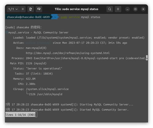 纯白和弦礼包码2023