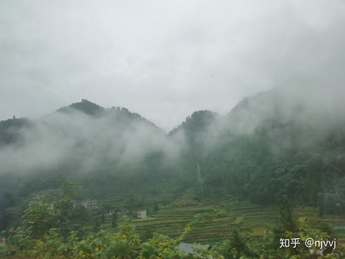 桃源深处有人家如何提升村民好感度
