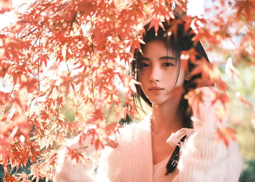 春日浪漫氛围感一键拿捏!绝美花海大片邀你抢先一览!