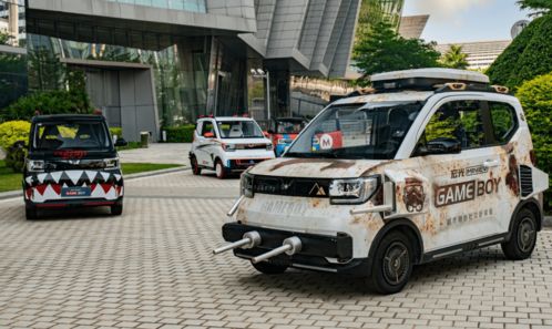 剁椒鱼头车什么梗