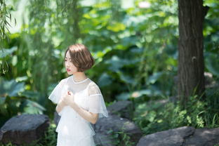 桃源深处有人家愿全结局攻略 桃源深处有人家愿所有结局大全