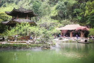 桃源深处有人家博物山在哪 博物山位置攻略