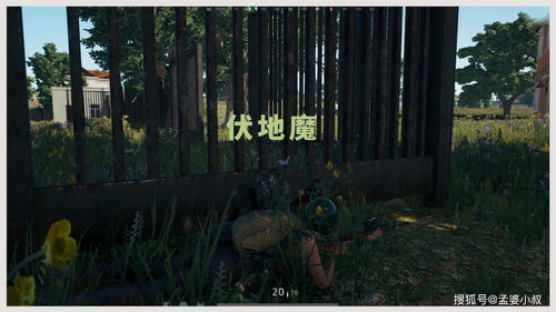 和平精英花圃种子在哪买