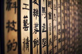 汉字找茬王庵找出21个字怎么过 庵找出21个字通关攻略