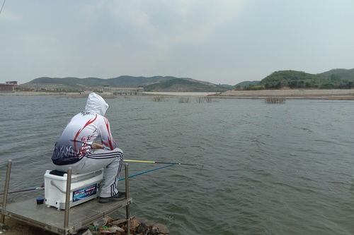 和平精英绿洲世界怎么钓鱼 绿洲世界钓鱼技巧分享