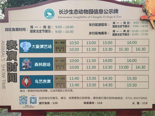 疯狂动物园2023兑换码是什么2023永久有效的兑换码汇总