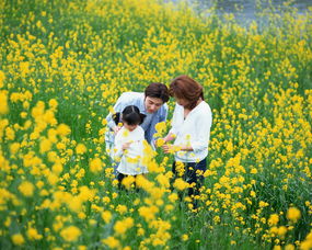 三界踏青邀君结伴 全新节日活动【清明时节】开启!