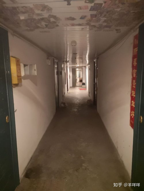 看你怎么秀启强租房攻略