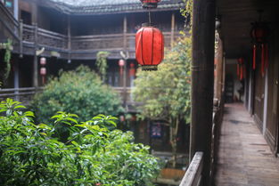 桃源深处有人家结梦念中寻萝位置大全