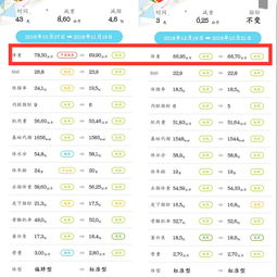 汉字找茬王阿江瘦身记怎么玩 减掉徐哥的卡路里通关攻略