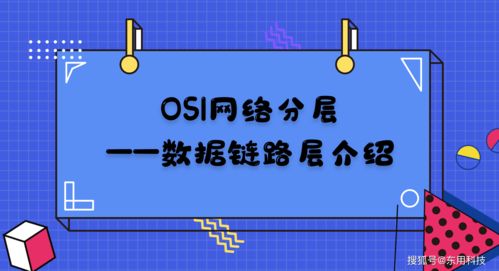 死亡回归数据立方作用介绍