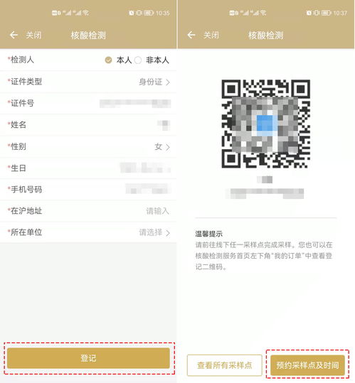 据报道《糖豆人》将在5月10日加入地图编辑器功能