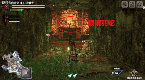 怪物猎人崛起训练场位置