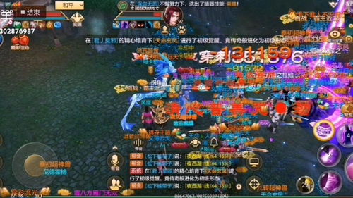 天龙八部2手游武当带什么宠物