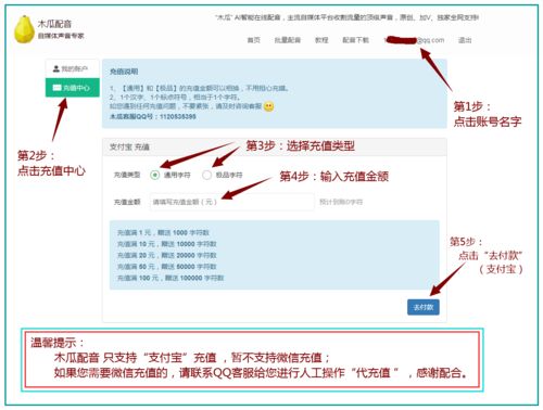chatgpt怎么充值 chatgpt充值的详细方法攻略