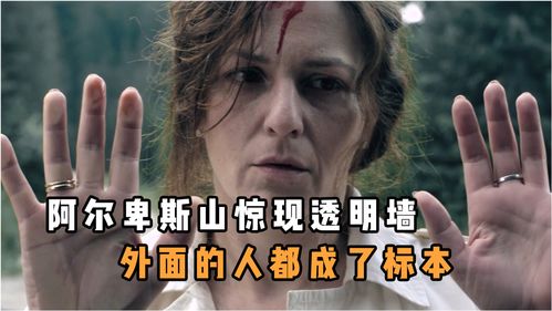 看不见的真相人脸树攻略
