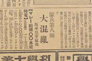 沙雕日记大嫂守灵攻略