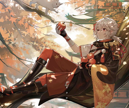 原神无相草用什么元素打