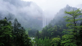 《天下手游》山峦重叠竹影摇曳 快穿上新时装来竹海深处细听风雨声