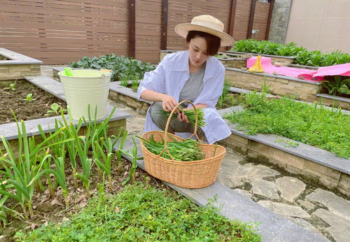 别惹农夫种菜怎么玩 种菜玩法介绍