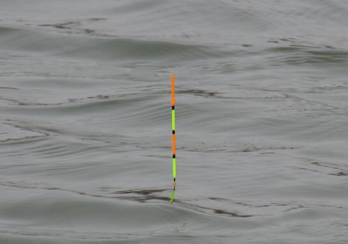 缺氧喷浮飞鱼有什么用