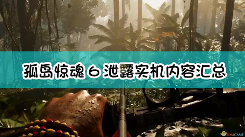 孤岛惊魂6黄金版有什么内容