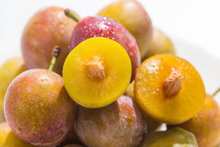 以下哪种西梅更新鲜