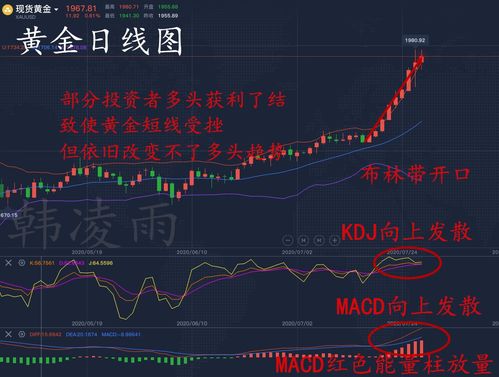 欧美AI竞争暗流涌动,法国“ChatGPT克星”正计划启动融资
