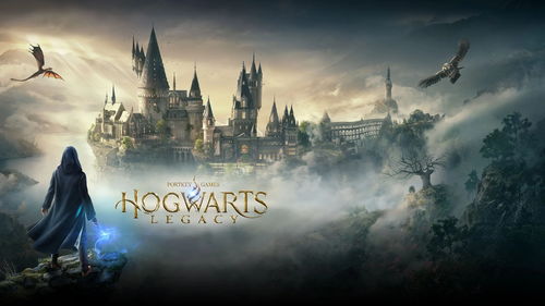 《霍格沃茨之遗》PS4版优化不错仅900P!switch版或对标PS4版